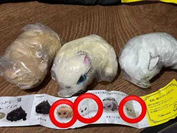 길들여지지 않는 고양이 봉제 인형 캡슐 토이 3개 세트