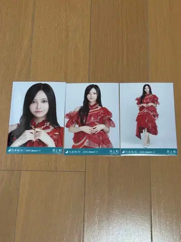 노기자카46 브로마이드 13thBD 라이브 의상2 이노우에 와카나 컴프