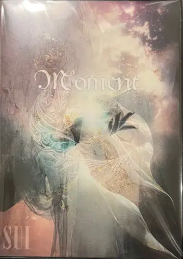 SUI ( DAVID ) / MOMENT