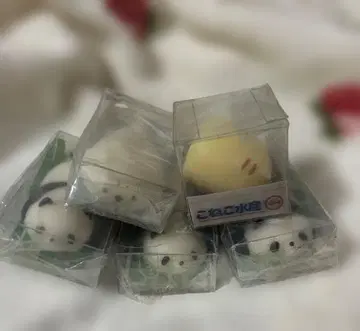 말랑 호랑이 고양이 물개 팬더 ushihito 스퀴즈