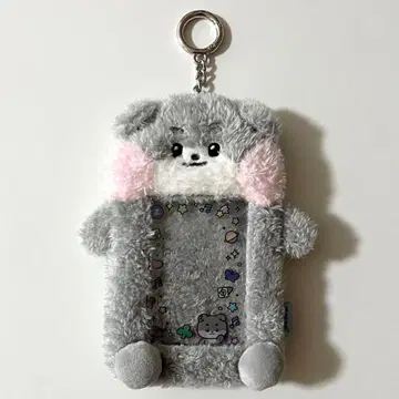 ZEROBASEONE 건욱 트레이딩 카드 케이스 고니니 gunini