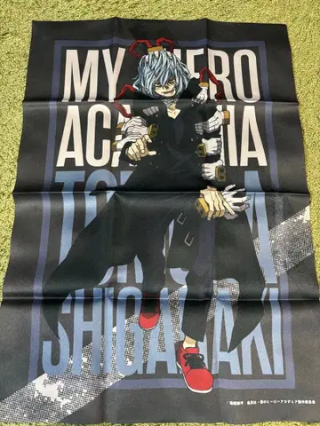 패브릭 포스터 시가라키 토무라