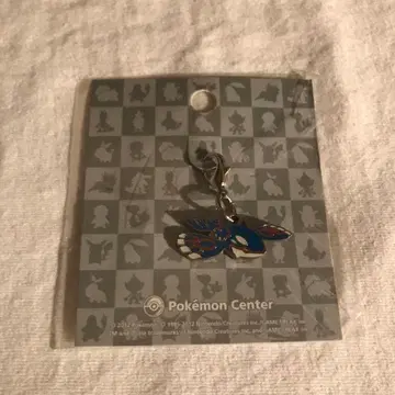 포켓몬 카이오가 메탈 참