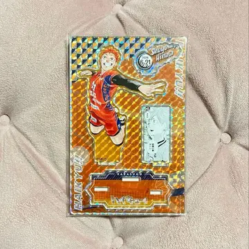 하이큐 히나타 쇼요 아크릴 스탠드