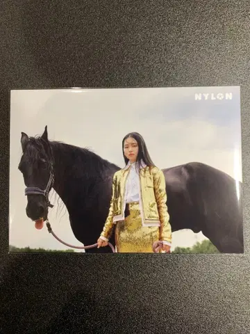 NYLON SUPER VOL.15 야마다 안나 혜택 대형 포토 카드