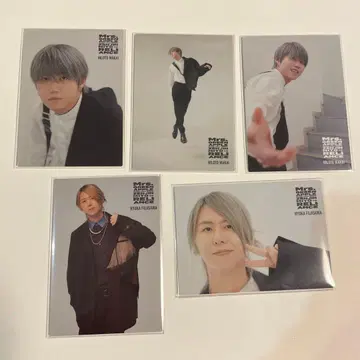 Mrs. GREEN APPLE 리라이어스 후지사와 와카이 포토 카드 세트