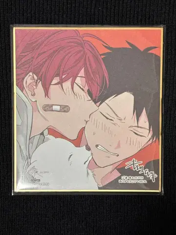 기븐전 색지 마후유 릿카