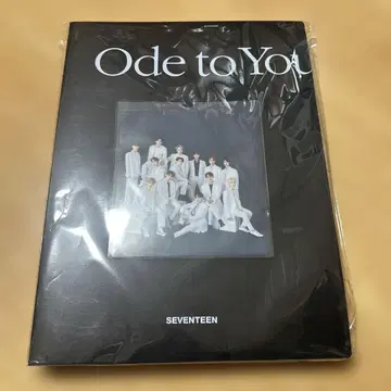 seventeen 세븐틴 ode to you 부채 바인더 파일