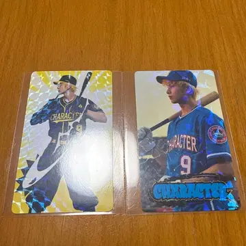 CHARACTER MACOIN 하세가와 신 브로마이드