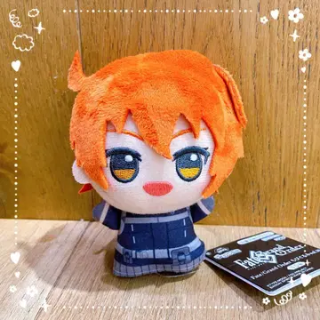 [택 포함] Fate/Grand Order SD 인형 주인공 (여자)