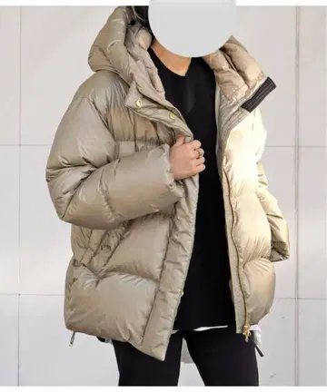 [골드윈] 별주 PERTEX QUANTUM Down Parka 38