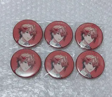 니지산지 세라프 더즐 가든 SitR 히로시마 폴라로이드 캔뱃지