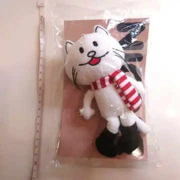 BUMP OF CHICKEN 니콜 키링