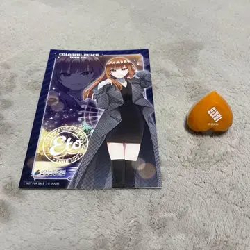 [ 주말 한정 판매 ] 컬러풀 피치 토부 동물공원 링 라이트