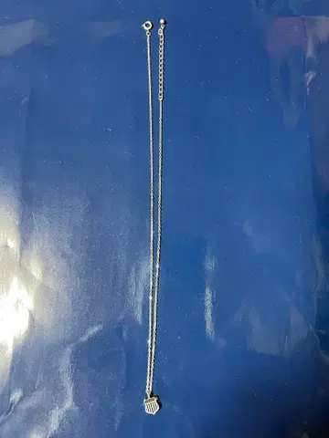 블랙 프라이데이 세일 [가격 인하했습니다] AVIREX 실버 목걸이