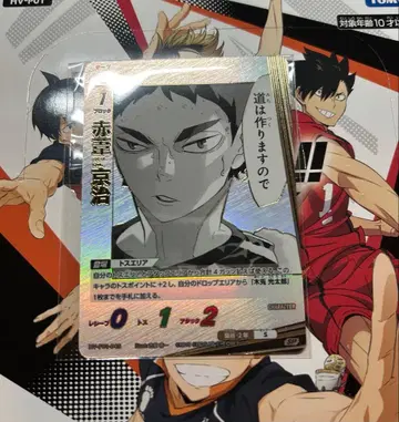 바보카 아카아시