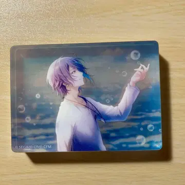 카미시로 루이 노블 아트 원더쇼 프로세카