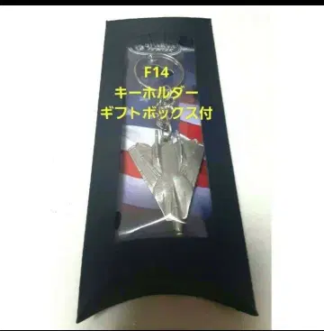[기프트 박스 포함] F-14 톰캣 키링 F14