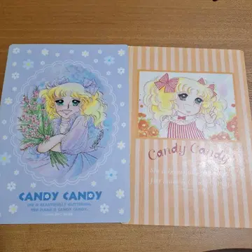캔디 캔디 책받침