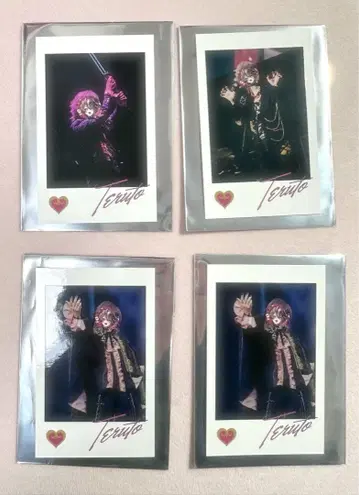 테루토쿤 KnightX 기사X 포토 카드