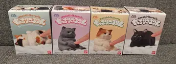 반다이 말랑말랑 굴러다니는 고양이 4종 세트