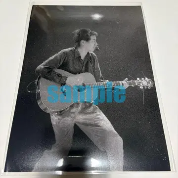 초레어! 나가부치 츠요시 생사진 A4 사이즈 No.14