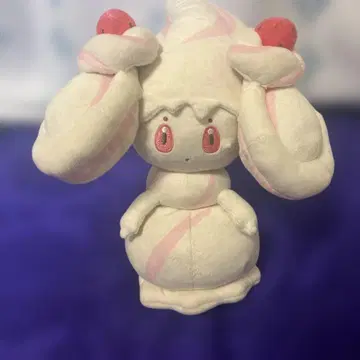 포켓몬 센터 마휘핑 봉제 인형