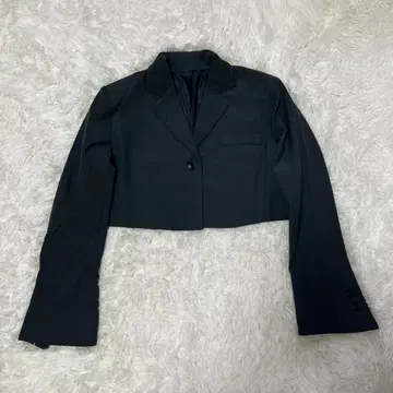 [ LVEU. ] 럽유 숏 기장 크롭 테일러드 자켓 그레이 F