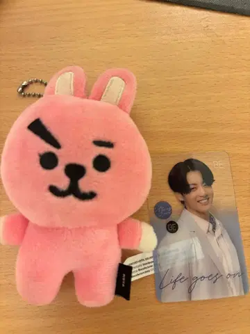 코니 봉제 인형과 카드 세트