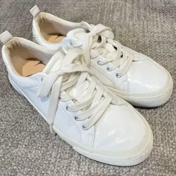 [ ZARA ] 화이트 악어 패턴 스니커즈 38 사이즈