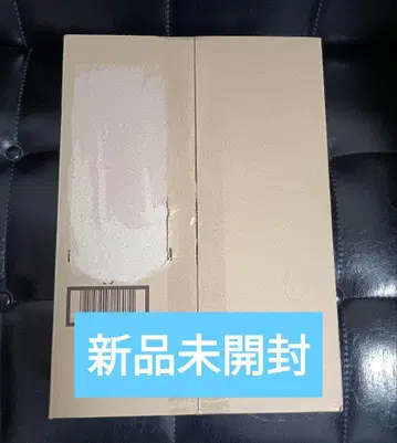 진골조제법 가면라이더 신 1호 영광의 쇼와 라이더 한정판 받침대 포함