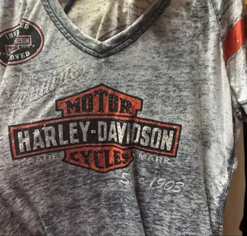할리데이비슨 반팔 시어 라메 스톤 상의
