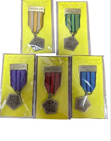 아라시 THE DIGITALIAN 메달 브로치