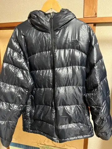 THE NORTH FACE 다운 자켓 L
