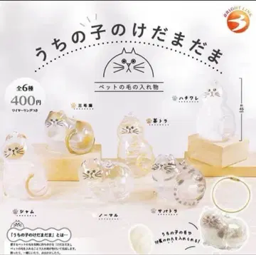 우리 아이의 털뭉치 전 6종 세트