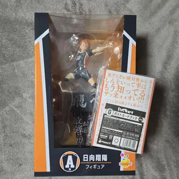 하이큐 Happy 복권 A상 히나타 쇼요 G상 엽서북