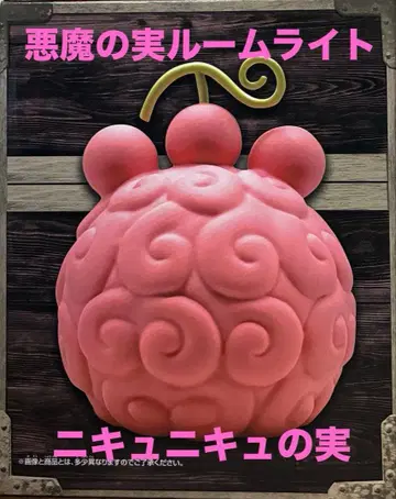 원피스 악마의 열매 룸 라이트 니큐니큐 열매