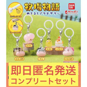목장 이야기 메지루시 액세서리 컴플리트 세트