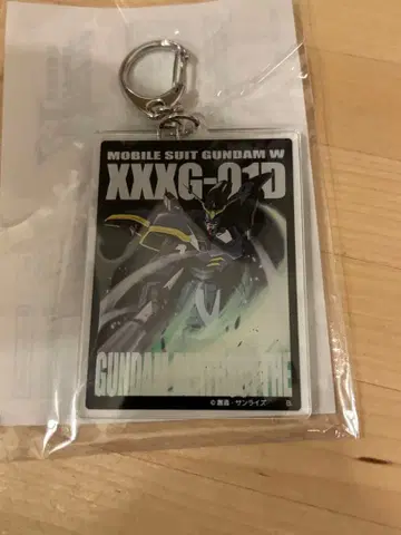 데스사이즈 헬 아크링 키링