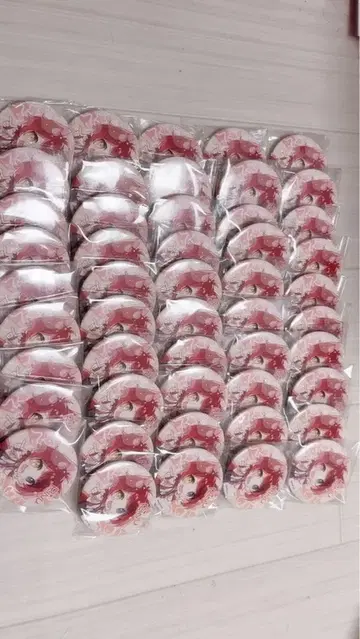 리이누군 캔뱃지 49개