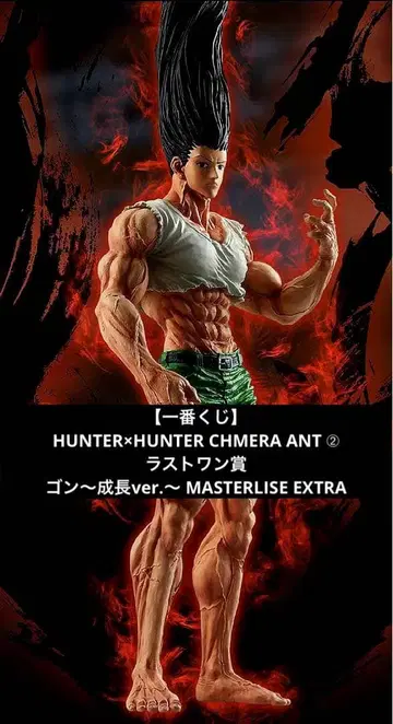 [ 제일복권 ] HUNTER x HUNTER 키메라 앤트 라스트 원 상!