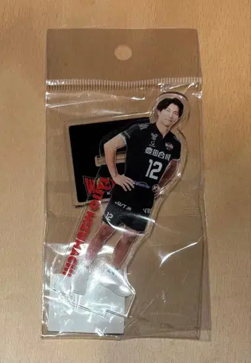 울프 도그스 나고야 미즈마치 타이토