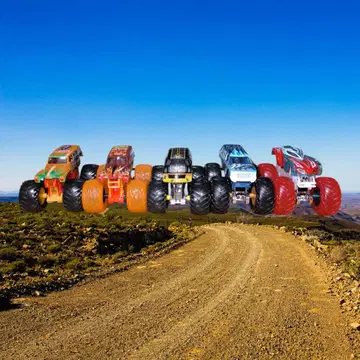 몬스터 트럭 레어 5대 세트