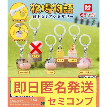 목장 이야기 메지루시 액세서리 세미 컴프 5종 세트