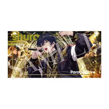 파라라이 파라독스 라이브 5주년 빅 타월 타츠미야 하루오미