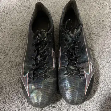 미즈노 알파 재팬 26.0