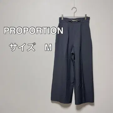 프로포션 바디 드레싱 와이드 팬츠 슬랙스 그레이