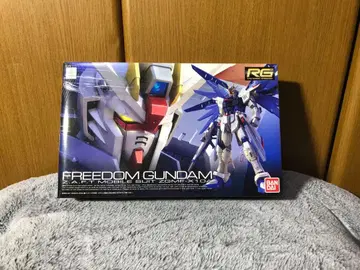 RG 프리덤 건담 건담 SEED 1/144