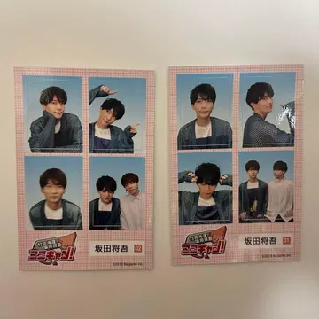 코코캰 증명사진풍 스티커 사카타 쇼고 타케다 카이토