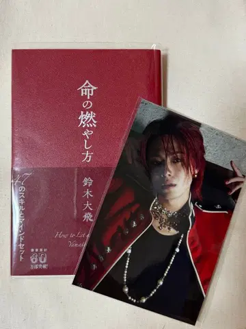 코무돗토 야마토 스즈키 다이히 생명의 불태우는 법